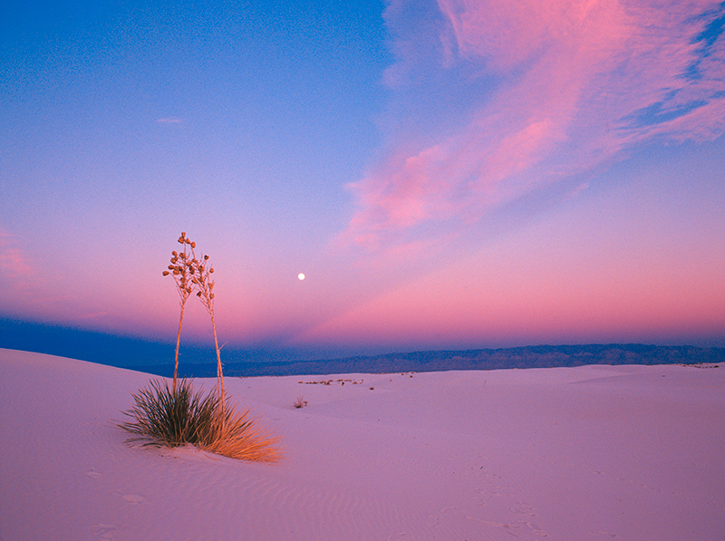White Sands Moonrise 2