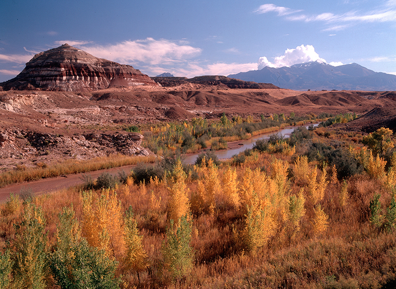 Autumn, Fremont River, Hanksville, Utah
