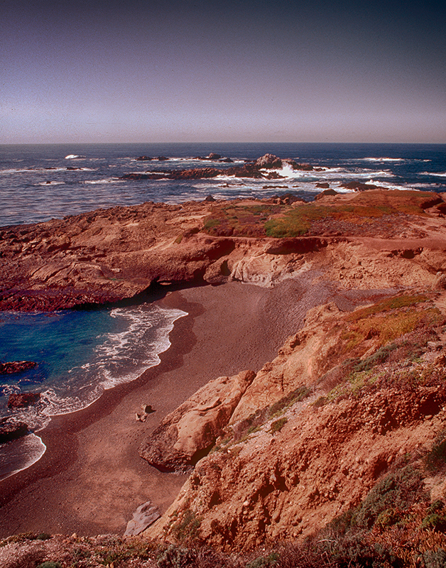 Point Lobos, California #3