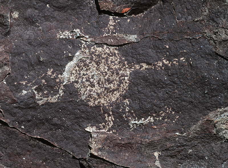Three Rivers Petroglyph Site, New Mexico #11